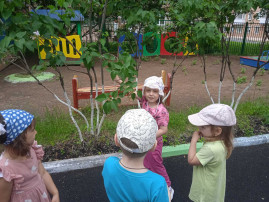 Проект «Калейдоскоп природы» Проект «Калейдоскоп природы».