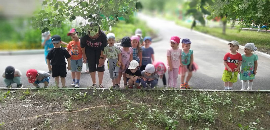 Проект «Калейдоскоп природы» Проект «Калейдоскоп природы».
