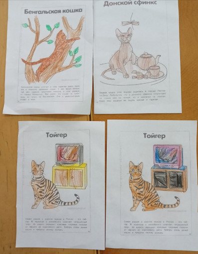 Всемирный день кошек. Всемирный день кошек.