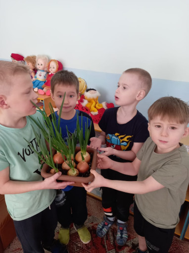 «Огород на подоконнике». «Огород на подоконнике».