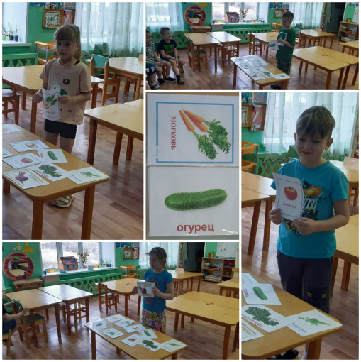 "Огород на окне" "Огород на окне".